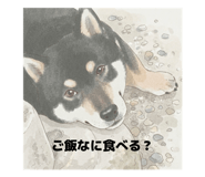 876378734