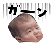 876384527