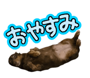 876400002