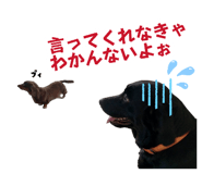 876400015