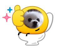 876424629