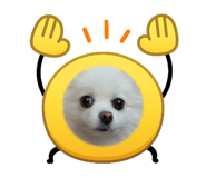 876424632