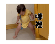 876444097