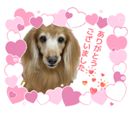 876445535