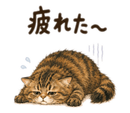 876453503