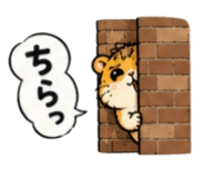 876455186