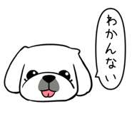 876455652