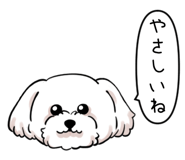 876455675