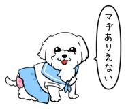 876455681