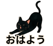 876456196