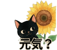 876456199