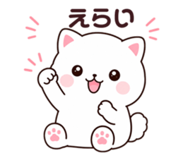 876462990