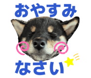 876464499