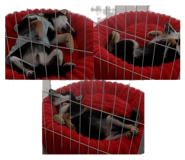 876464525