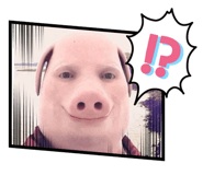 876465475