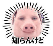 876465478