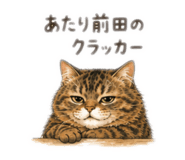 876465845