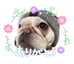 876466113