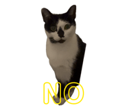 876469705