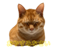 876469708