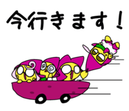 876491127