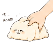 876507051