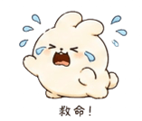876507077