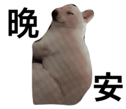 876546023