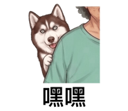 876546305