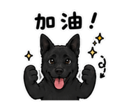 876570890