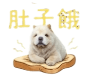 876576902