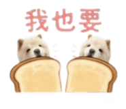 876576904