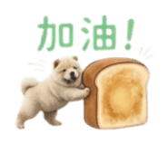 876576915