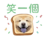 876576916