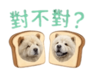 876576918