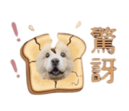 876576922