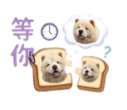 876576923