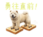 876576928