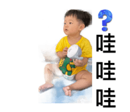 876586446