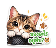 876602757
