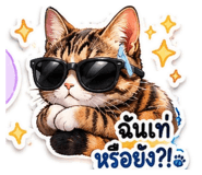 876602761