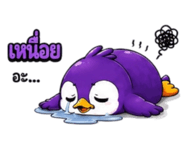 876611992