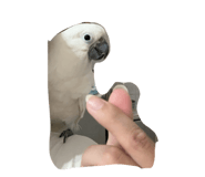 876613641