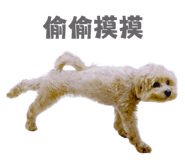 876615725