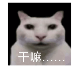 876625989