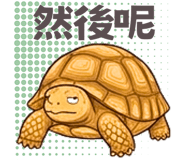 876629004