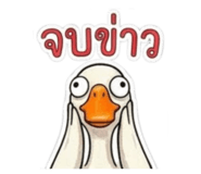 876631777