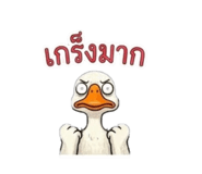 876631788