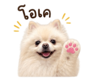 876633338
