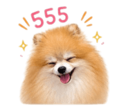 876633339
